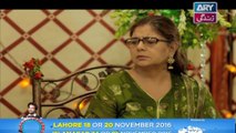 Haal-e-Dil - Episode 28 on Ary Zindagi in High Quality 24th October 2016
