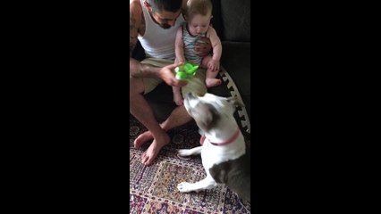 Baby hysterically laughter is extremely contagious