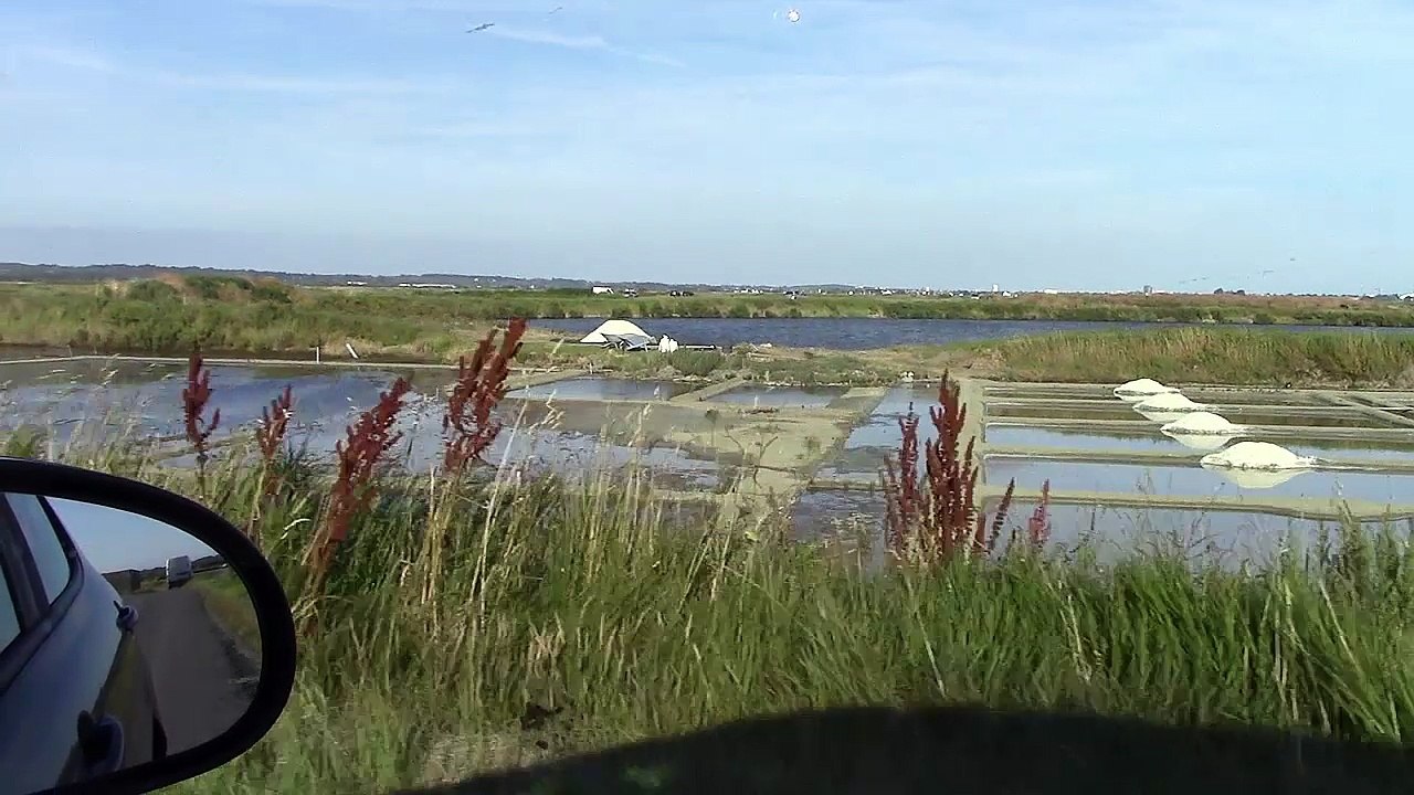 Marais Salants de Guérande