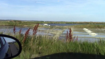 Marais Salants de Guérande