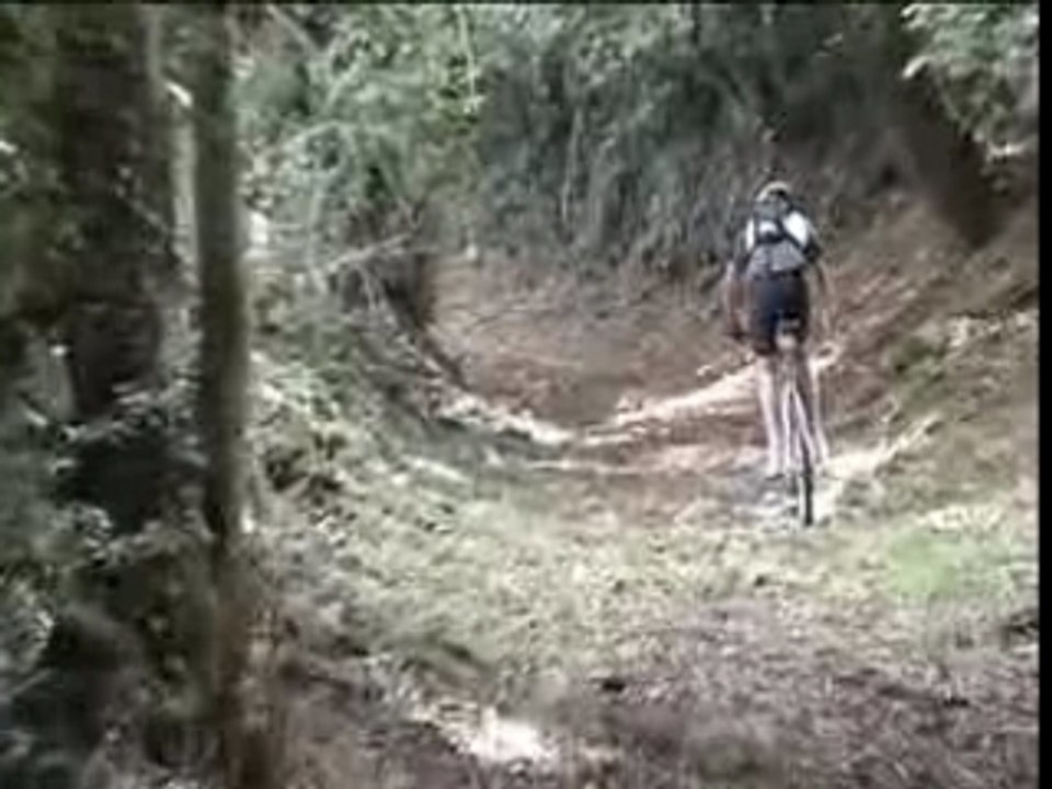 Vtt dans les sous bois d'Aleyrat