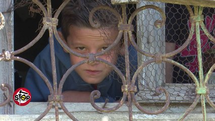 Stop - Mashtrimi me sigurimet i DAR Tirane; Histori varferie ne Picalle! (14 tetor 2016)