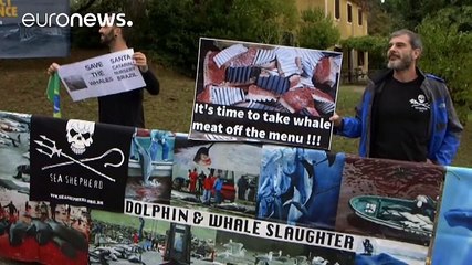 موافقان و مخالفان شکار نهنگ در نشست جهانی اسلوونی