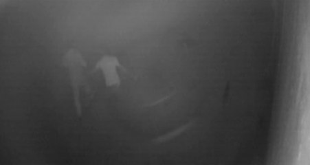 Sevgilisinin Kocasını Bıçak Darbeleriyle Öldürdü! O Anlar Kamerada