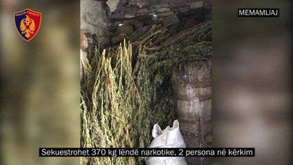 Memaliaj/ 370 kg kanabis në bodrumin e shtëpisë, në kërkim autorët