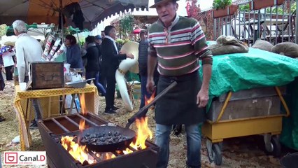 34 eme Fête de la Châtaigne - Collobrières