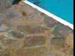 plat aie aie