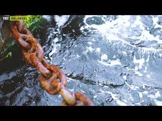 Kıyıdan Hikayeler - Fragman 1 - TRT Belgesel