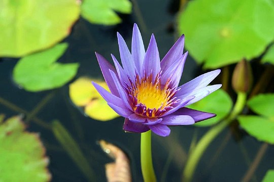 밤전 세종마사지 검색 BamWar007.com