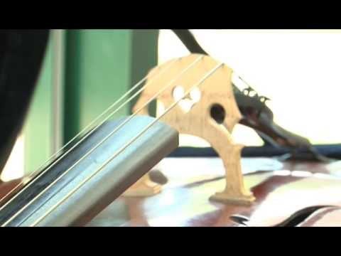 Hapet konkurs plotësues në shkollën e muzikës Prenk Jakova - Lajme