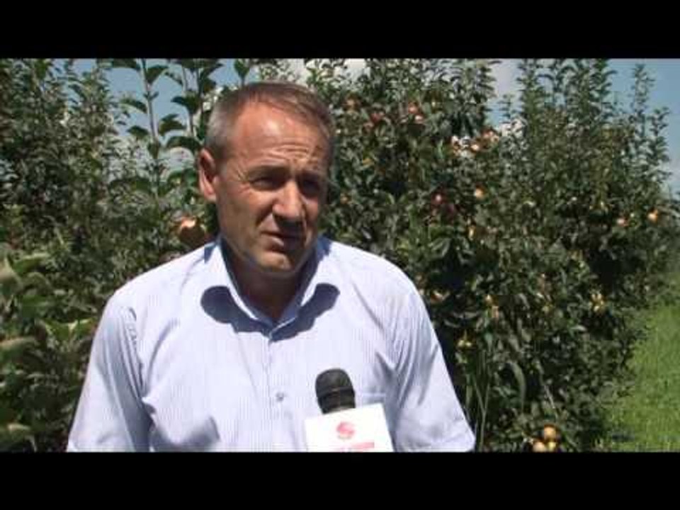 Kultivuesit e mollës - Lajme