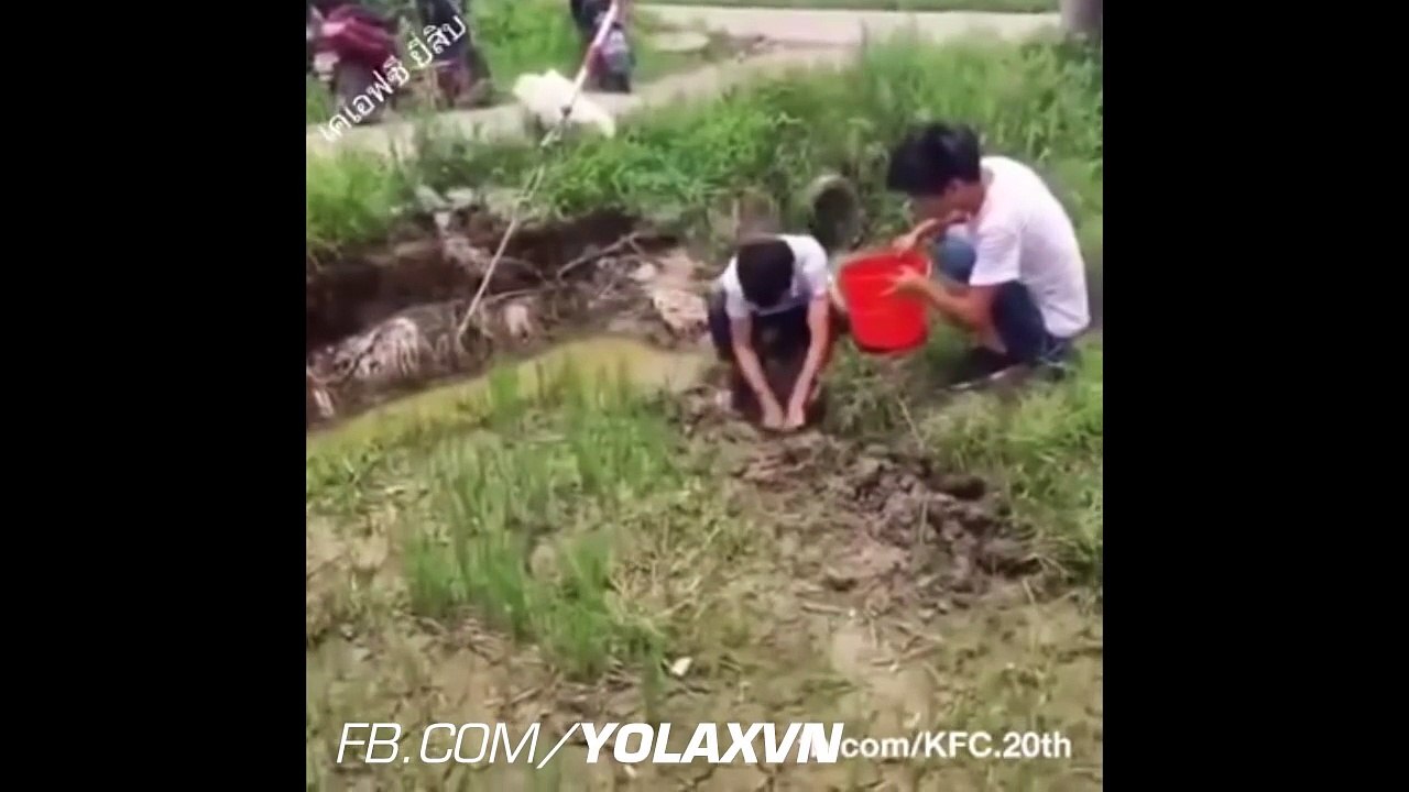 Hài Trung Quốc - Những Màn Mò Cua Bắt Ốc Bá Đạo