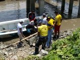 Cocodrilo capturado en la Isla Puná fue trasladado a la Reserva Ecológica Manglares Churute