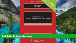 Must Have  Property Law: Practice, Problems, and Perspectives [Connected Casebook] (Aspen