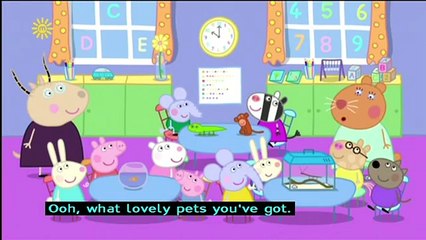 Peppa Pig (Series 4) - The Pet Competition (with subtitles)
