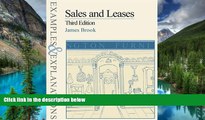 READ FULL  Sales and Leases: Examples and Explanations (Examples   Explanations Series)  READ