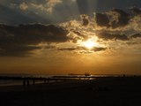 Coney Island _ The Memories of Summer 2016