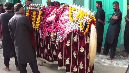 9 Muharram Baramdgi Shabieye Zuljanh Ba maqamam Imam Bargha Hassan Mujtaba a.s Faisababad