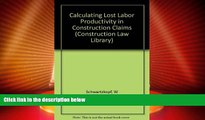 Big Deals  Calculating Lost Labor Productivity in Construction Claims (Construction Law Library)