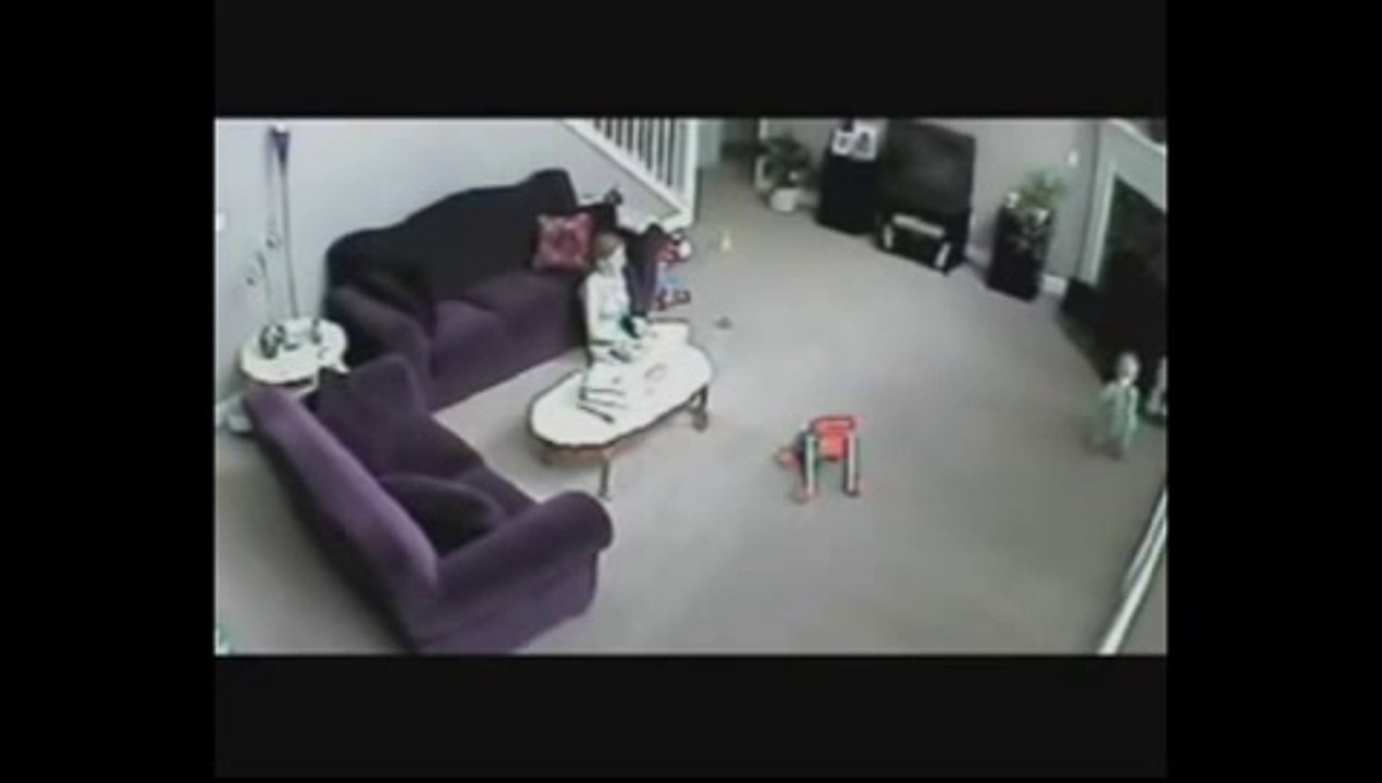 Funny Dog with Funny Cat