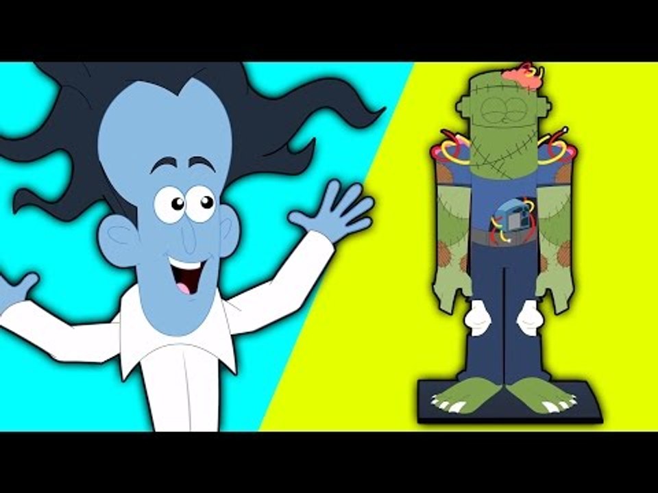 Cabeza Hombros Rodillas y Pies | Cartoon para niños | video educativo | Head Shoulder