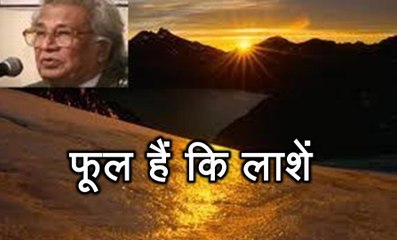 फूल हैं कि लाशें (हिमायत अली 'शाएर' Himayat Ali Shair)