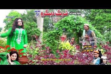 Pashto New HD Album 2016 Shrang Da Bangro VOL 9