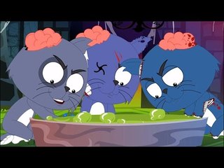 ba mèo con vần | vần điệu trẻ bài hát | trẻ em bài hát mẫu giáo