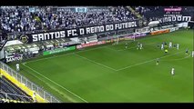 Santos 2 x 1 Fluminense - Gols & Melhores Momentos - Campeonato Brasileiro 2016