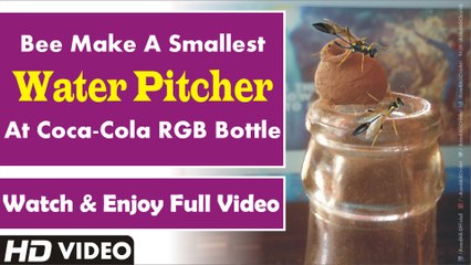 Bee Make A Naturally Water Pitcher @ Coca-Cola RGB Bottle