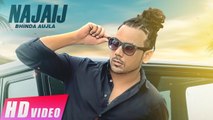 Najaij HD Video Song Bhinda Aujla 2016 Latest Punjabi Songs