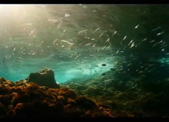 Эволюция 2016 Полный Фильм Смотреть Онлайн в Хорошем Качестве HD