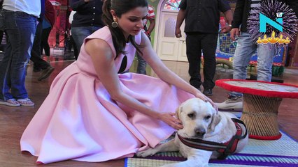 This guy licks Anushka Sharma for singing Bulleya