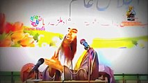Shia Zakir Nay Tauseef Rehman Ko Qatl Ki Dhamki Daidi Leaked Phone Call