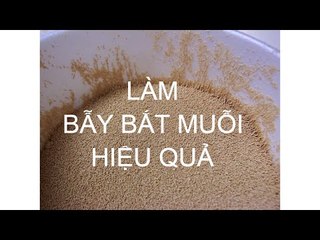 Mẹo: Làm bẫy bắt muỗi siêu hiệu quả | Meohaynhat