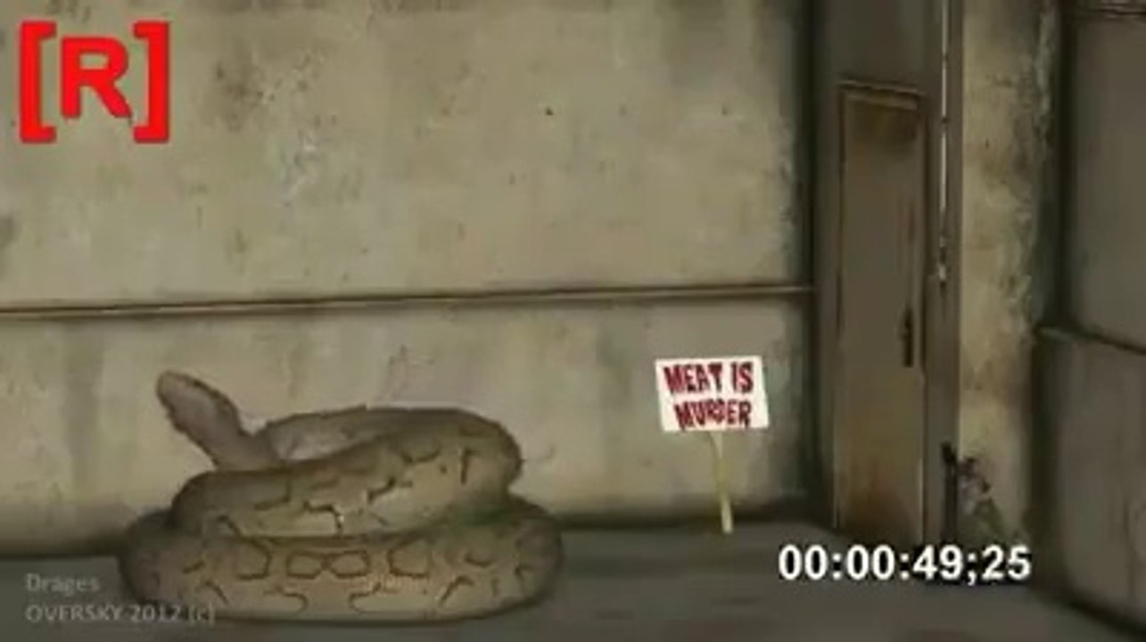 best funny video