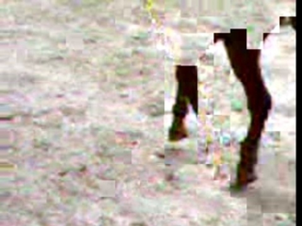 Video-0015