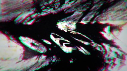 Resident Evil 7 biohazard - Vol.5 “Survival”