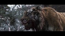 Tiger- The old hunter's tale   HD