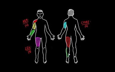 01   Healthy lifestyle   05   11 major muscle groups