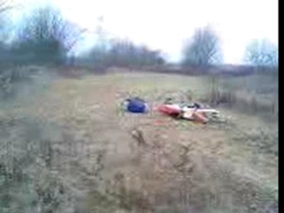 La chute