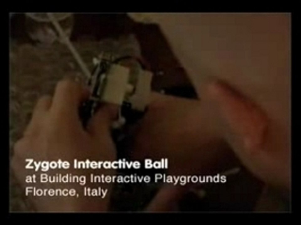 Zygote intercative ball
