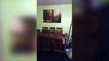 Elles hurlent de terreur lors de l'apparition d'un visage fantomatique