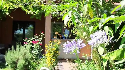 Izgarada Ekmek Arası Kaşarlı Köfte Yapımı -  Organik