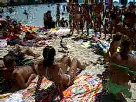 Gabbiano ruba panino a LAMPEDUSA isola dei conigli