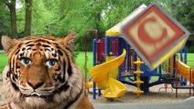 ABC Kids Playground (Tiger).