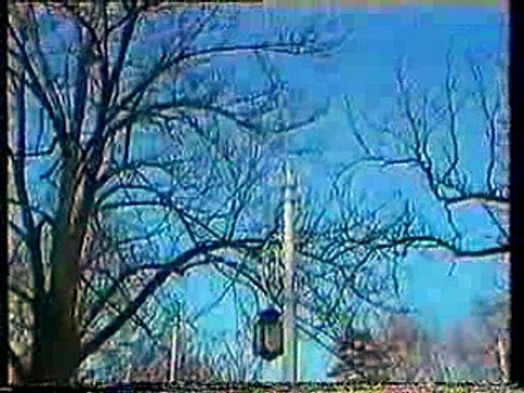 Jasar Ahmedovski - Za Srca Zaljubljena