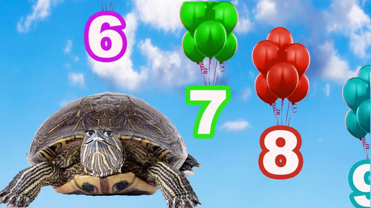 Numbers Song 1-20